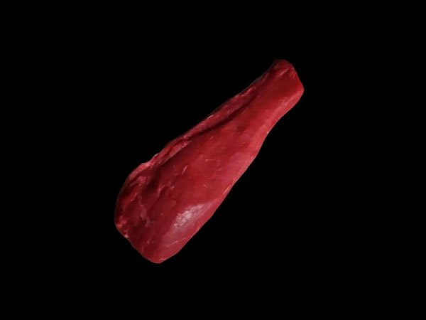 raw Mouse Steak