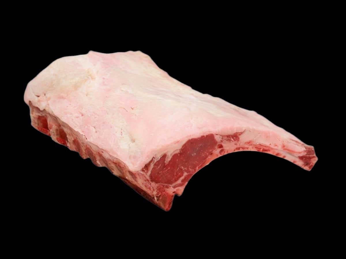 rib primal beef cut