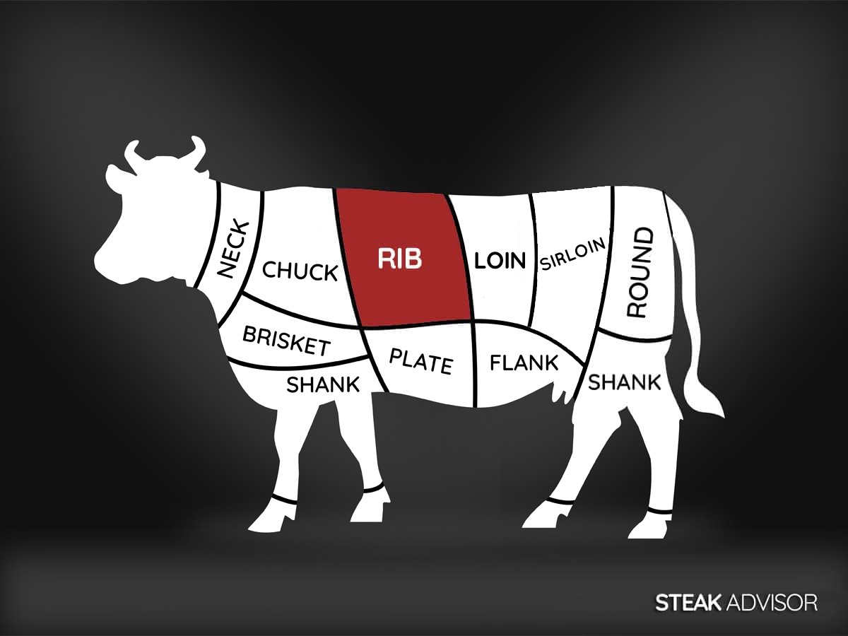 rib primal beef diagram